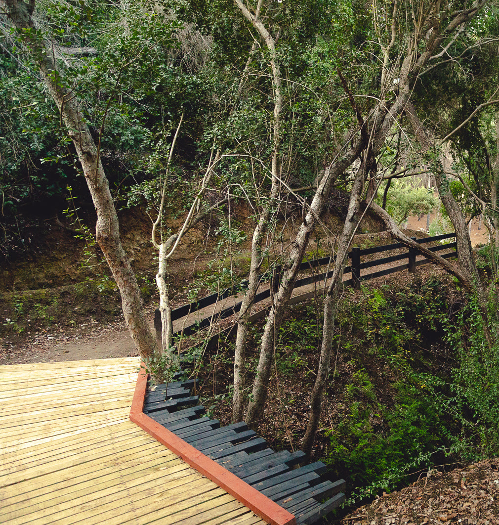 Ticket Diario - Trekking