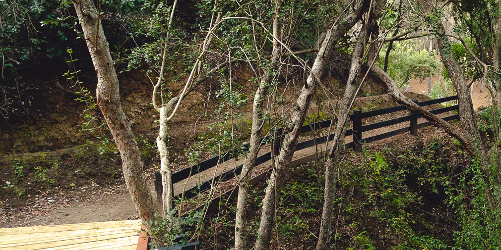 Ticket Diario - Trekking