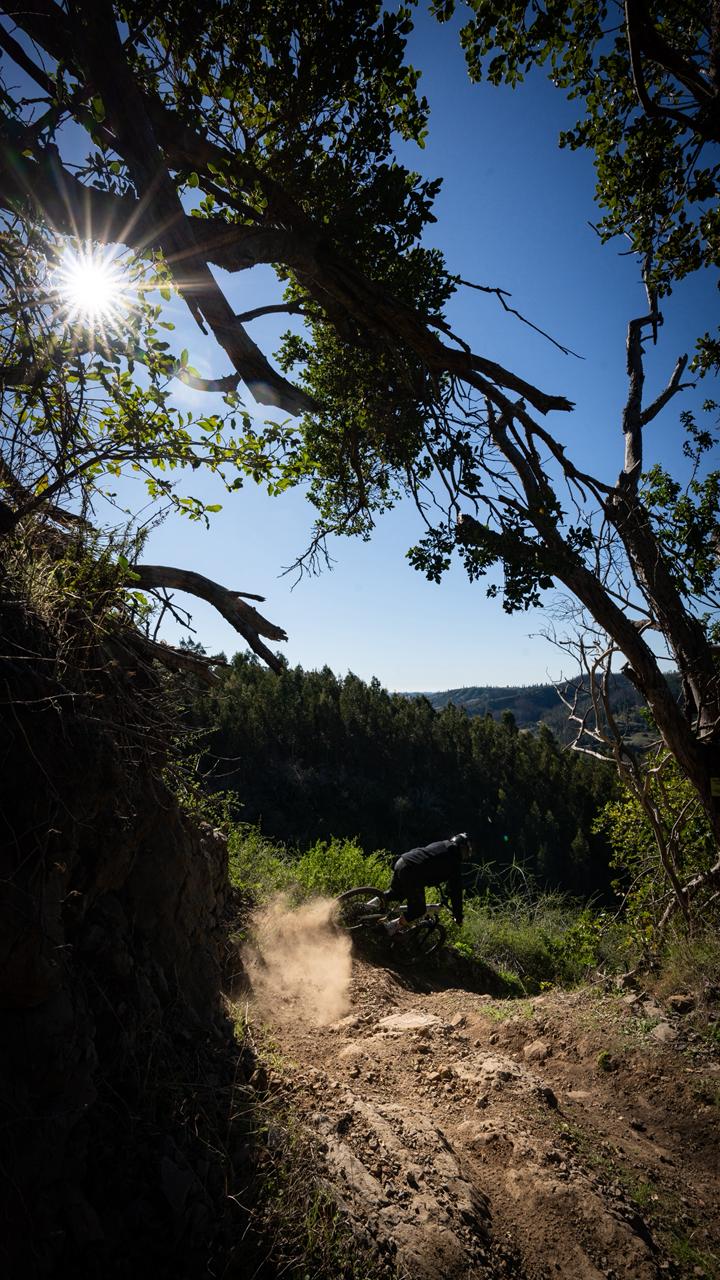 Ticket Diario - Bike Park
