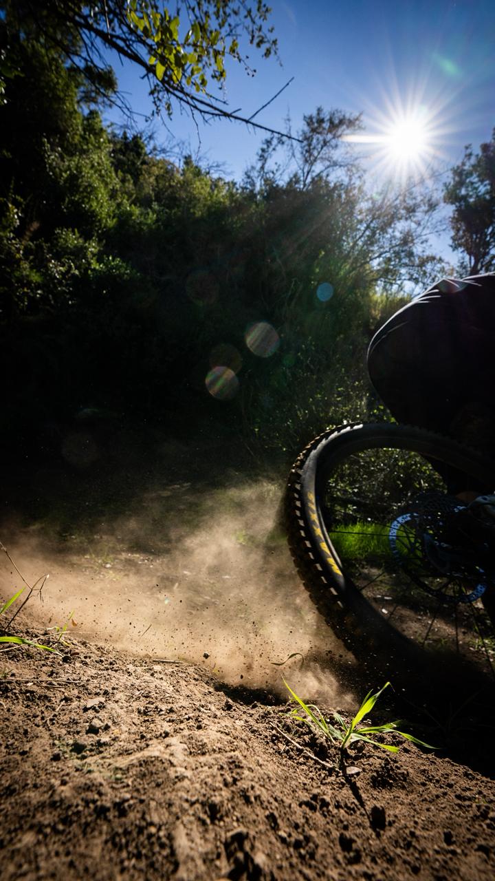 Ticket Diario - Bike Park